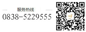 四川OD真人有限公司【官网 】